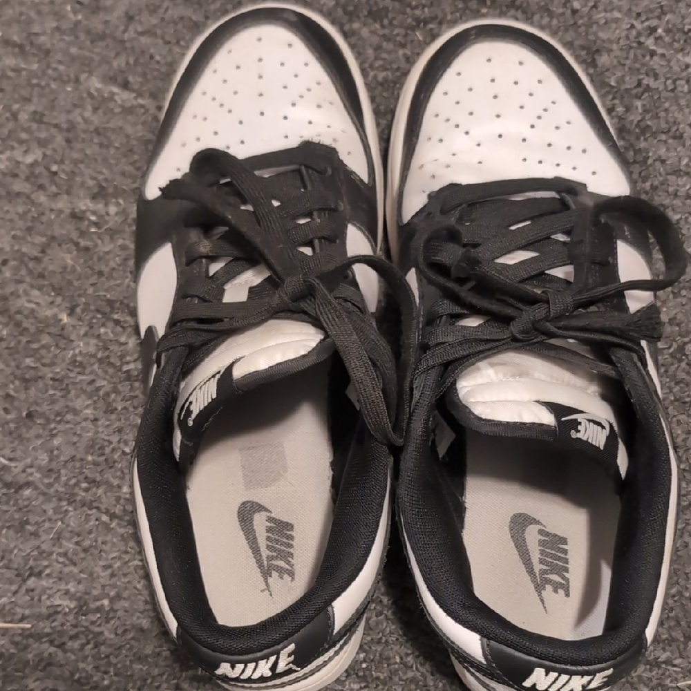 Nike Dunk Low Retro  Athletic Shoes